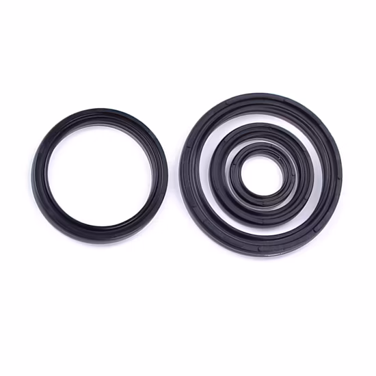 FKM Rubber Rod Seal / Wiper Ring for Pneumatic Cylinder Piston Rods Seal Ring Oil Seal