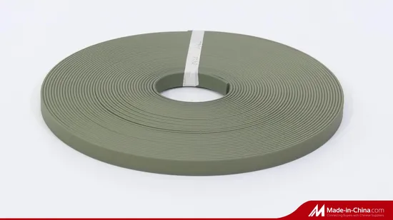 PTFE Seal Guide Elements Strip for Cylinder